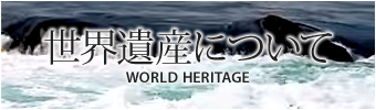 世界遺産について